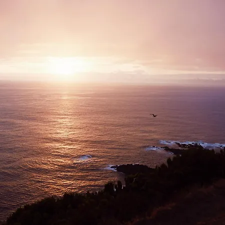 Salt Lips - Azores Surf Experience-3